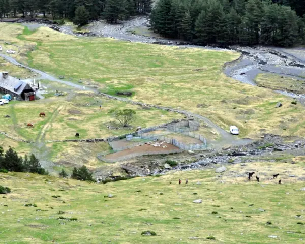 Vue aérienne du hospice du Rioumajou, avec ses bâtiments, des chevaux et des moutons dans des enclos, au milieu d'une vallée verdoyante bordée de pins.