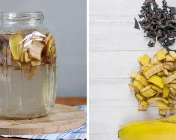 Słoik z wodą i skórkami bananów, obok pokrojone skórki i wysuszone resztki. Naturalny nawóz ze skórki banana gotowy do użycia.