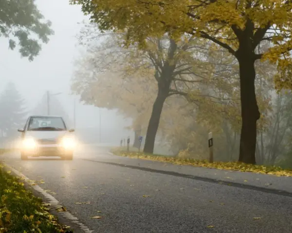 Auto fährt durch dichten Nebel, wann Nebelscheinwerfer unerlässlich sind. Herbstlaub liegt am Straßenrand.