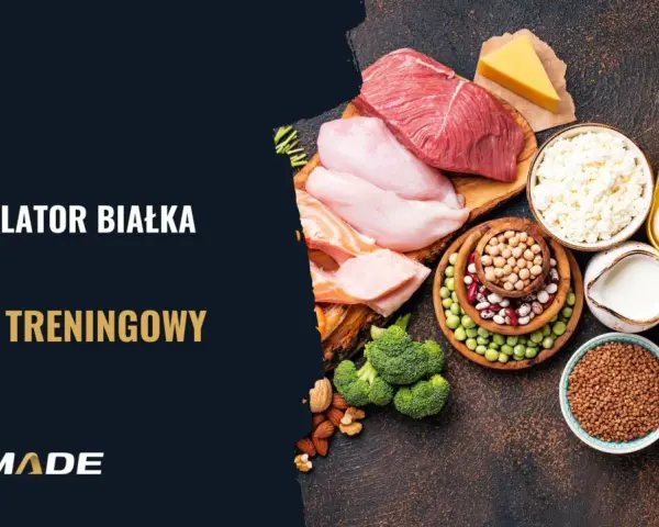 Kalkulator białka i plan treningowy. Różnorodne źródła białka: mięso, ryby, jajka, nabiał, rośliny strączkowe, płatki owsiane, ryż i kasza.