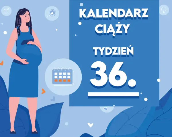 Kobieta w 36. tygodniu ciąży, z brzuszkiem i kalendarzem. Czas na przygotowania do porodu!