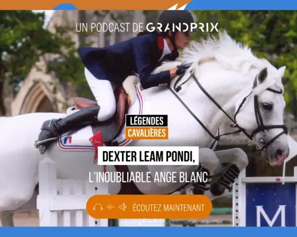 Un cavalier et son cheval blanc, Dexter Leam Pondi, franchissent un obstacle. Podcast "Légendes Cavaliers".