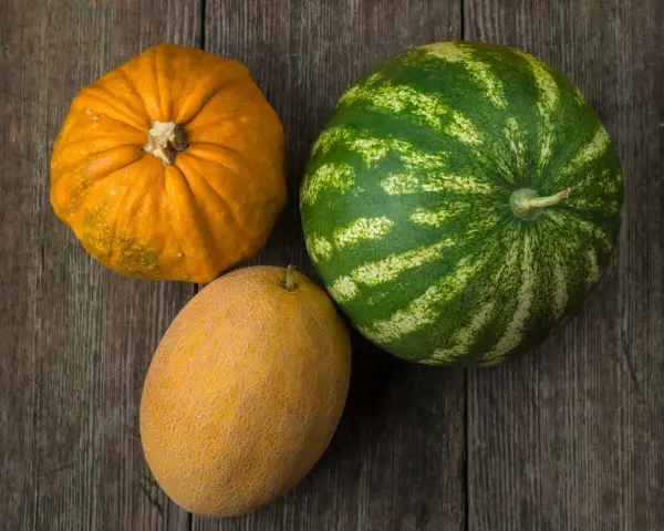 Dynia, melon i arbuz leżą na drewnianym blacie.