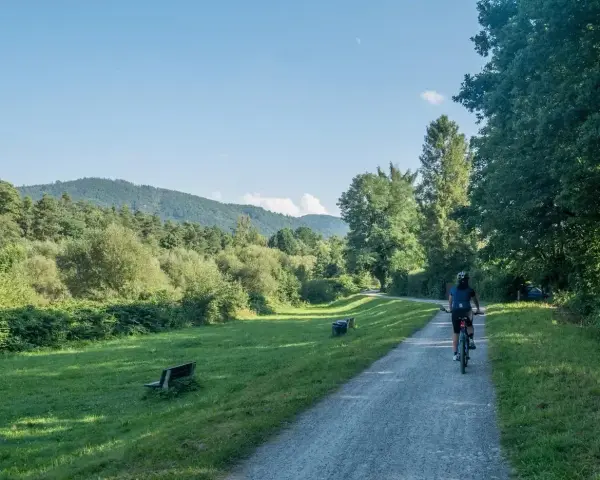 Osoba na rowerze przemierza malowniczą trasę rowerową Skoczów Wisła, otoczoną zielenią i wzgórzami.