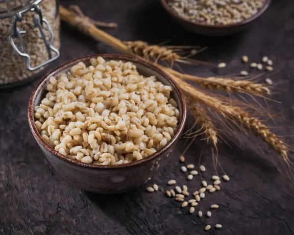 Un bol de perles d'orge cuites, avec des épis et des grains d'orge, évoquant les nombreux bienfaits de ce grain.