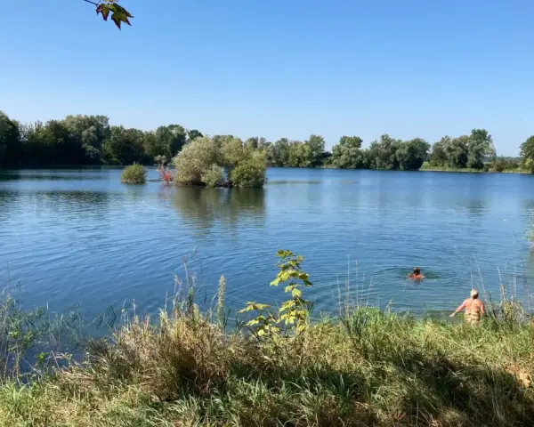 Sonniger Tag am Biebesheim See. Menschen genießen das kühle Wasser, umgeben von üppiger Vegetation und klarem Himmel.