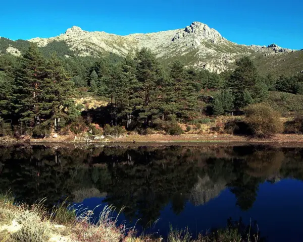 Reflejo perfecto de pinos y montañas en el lago, ideal para la barranca ruta circular.