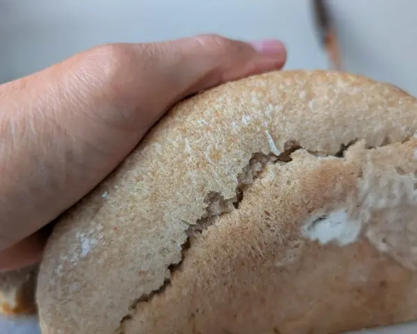 Eine Hand hält ein Brot, das Risse hat. Nächstes Mal gelingt das brot ohne risse backen bestimmt besser.