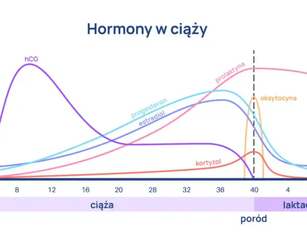 Progesteron po owulacji: Klucz do ciąży? Zrozum swoje wyniki