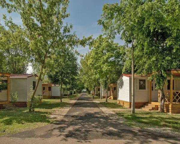 Alejka na hajdu camping, otoczona drzewami i białymi domkami z werandami.