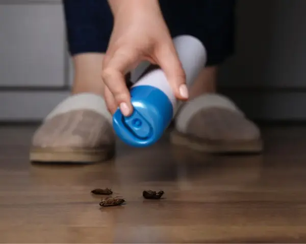 Mano con spray insecticida sobre cucarachas muertas en el suelo. Las cucarachas mudan la piel y crecen, pero estas ya no lo harán.