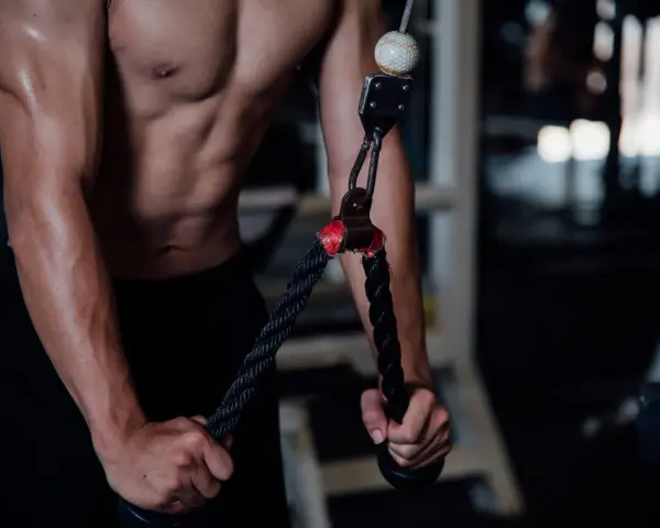 Mięśnie tricepsów w akcji. Zastanawiasz się, ile serii na triceps w tygodniu da najlepsze efekty?