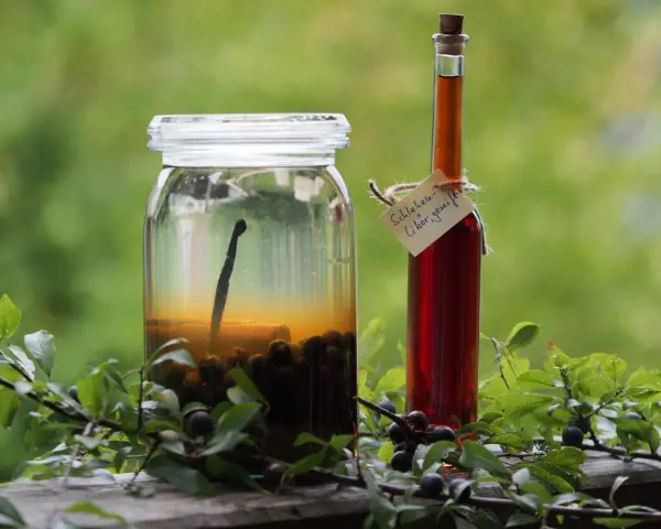 Ein Glas mit Schlehen und eine Flasche Schlehenlikör, bereit für Schlehen Rezepte.
