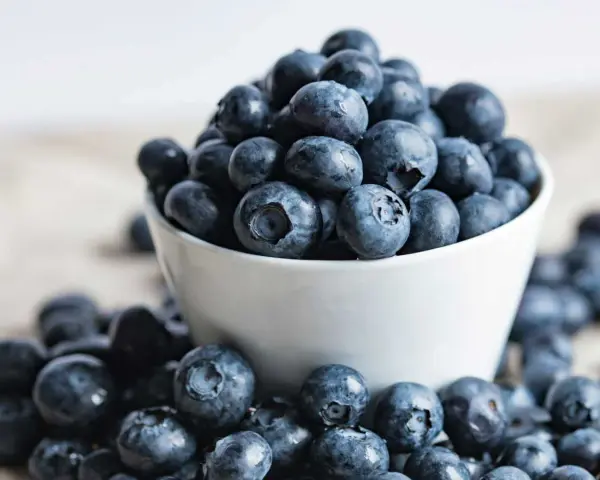 Un bol de myrtilles débordant, certaines tombées sur la table. Attention, ces petites baies bleues peuvent être addictives !
