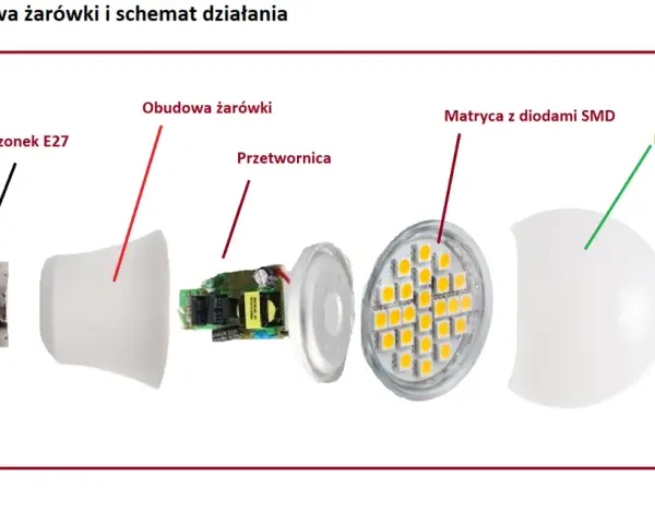 Rozłożona żarówka LED: trzonek E27, obudowa, przetwornica, matryca z diodami SMD i mleczny klosz. Poznaj budowę żarówki.