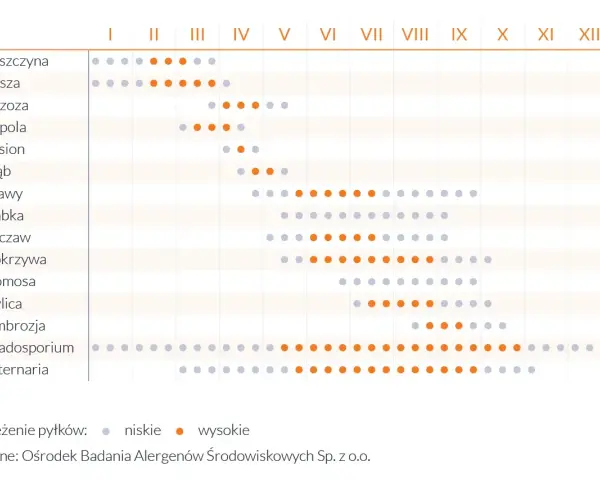 Kalendarz pylenia roślin: leszczyna, olsza, brzoza, topola, jesion, dąb, trawy, babka, szczaw, pokrzywa, komosa, bylica, ambrozja, Cladosporium, Alternaria. Sprawdź, co teraz pyli.