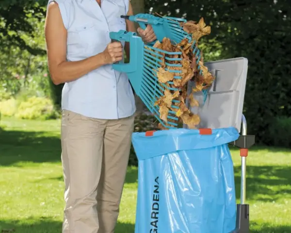 Kobieta zbiera liście do worka, realizując jesienny **pielęgnacja trawnika kalendarz**.