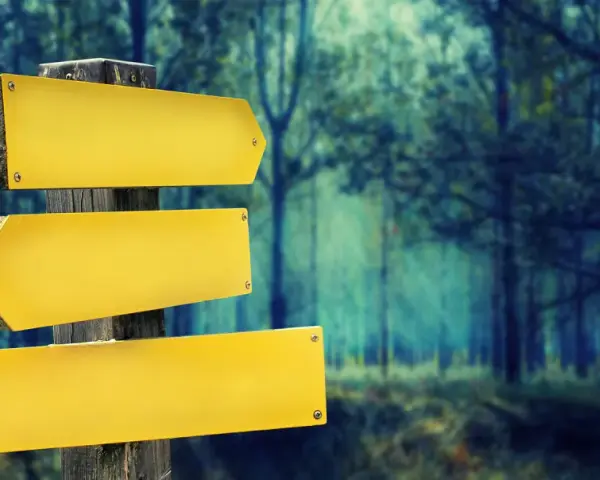 Panneau de signalisation jaune vide dans une forêt sombre.