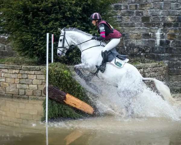 Cheval blanc sautant un obstacle d'eau lors d'un parcours de saut d'obstacle. L'eau éclabousse autour du cheval.