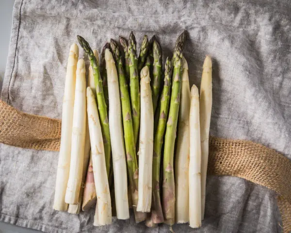 Frischer weißer und grüner Spargel auf Leinentuch. Der Spargelgeschmack ist bald bereit, genossen zu werden.