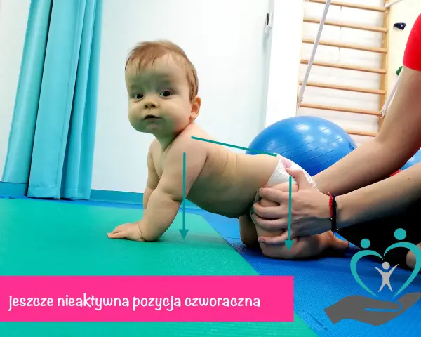 Niemowlę w pozycji czworaczej, z rękami opartymi na macie. Fizjoterapeuta delikatnie wspiera jego biodra.