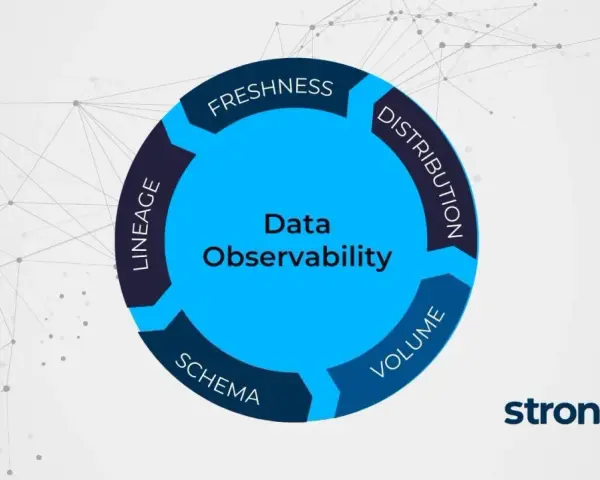 Diagram illustrating Data Observability with key components: Freshness, Distribution, Volume, Schema, and Lineage. This app metadata helps understand data health.