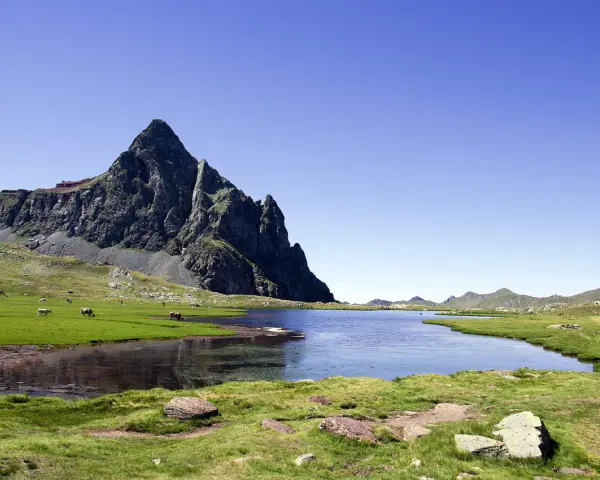 Majestuoso pico rocoso se alza sobre un lago sereno y prados verdes en el valle de Tena, con vacas pastando tranquilamente.