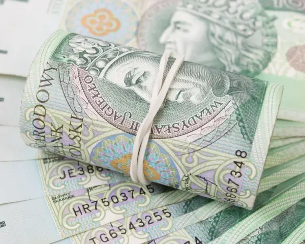 Zwijane banknoty 100 zł, symbolizujące ile procent dochodu na alimenty.