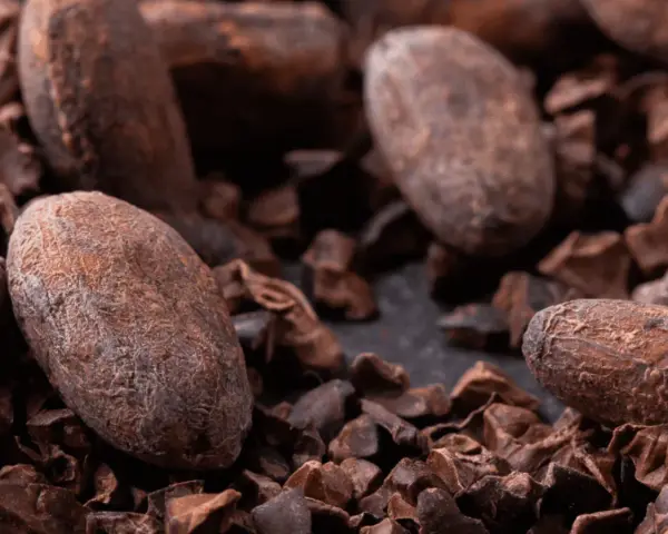 Gros plan sur des fèves de cacao et des éclats de cacao, rappelant les nombreux cacao bienfaits pour la santé.