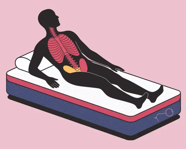 Silhouette d'une personne allongée sur un matelas mémoire de forme, montrant le squelette et les organes. Avis kiné sur le soutien.