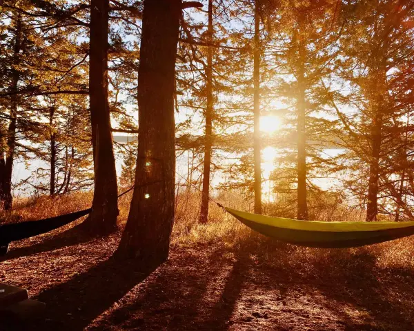 Sunlight streams through trees, illuminating two hammocks strung between them. A perfect spot to embrace how to live a simple life.