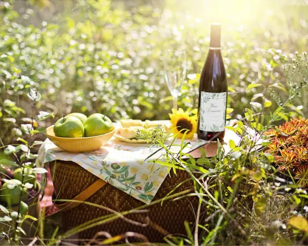 Piknik z jabłkami i butelką domowego wina. Idealny przepis na wino z jabłek 10l.