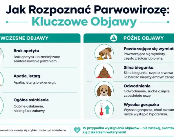 Ilustracja przedstawia objawy parwowirozy u psa: brak apetytu, apatia, wymioty, biegunka, odwodnienie i gorączka.