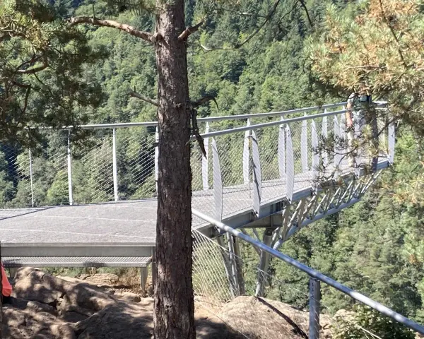 La passerelle himalayenne de Grazac offre une vue imprenable sur la vallée verdoyante. Une personne marche sur la structure métallique.