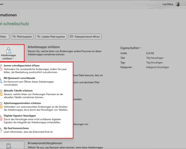 Excel-Schreibschutz aufheben: Optionen zum Schutz von Arbeitsmappen, z.B. "Immer schreibgeschützt öffnen" oder "Mit Kennwort verschlüsseln".