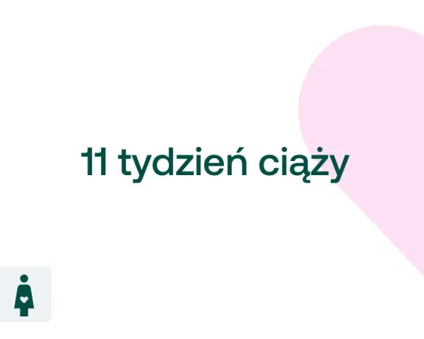 11 tydzień ciąży. D+ logo i symbol kobiety w ciąży na tle różowego serca.