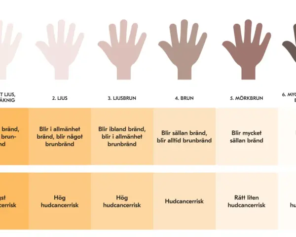 Diagram visar hudtyper och deras UV-känslighet. Vid vilket UV-index blir man brun beror på hudtyp, från ljus som bränns till mörk som blir brun.