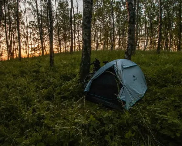 Namiot nad jeziorem, otoczony drzewami i trawą, czeka na noc. Zachód słońca maluje niebo na pomarańczowo.