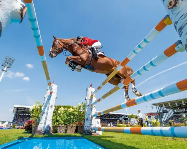 Un magnifique cheval de course brun saute par-dessus un obstacle coloré, sous un ciel bleu clair, lors d'une compétition équestre devant une foule attentive.