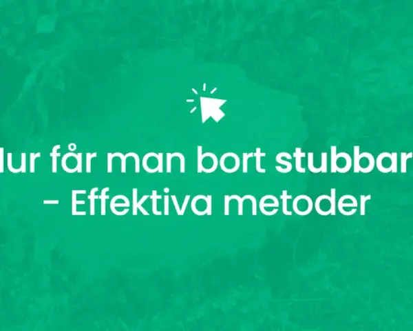 Hur får man bort stubbar? Effektiv metod för att ta bort stubbar.