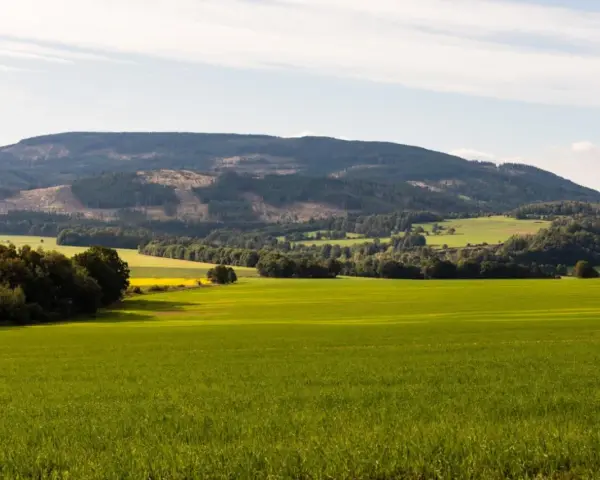 Zielone pola i lasy u podnóża Gór Opawskich. Atrakcje przyrodnicze tego regionu zachwycają o każdej porze roku.