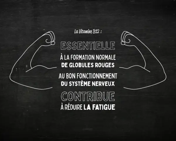 La vitamine B12, essentielle pour les globules rouges et le système nerveux, aide à réduire la fatigue. Des bras musclés symbolisent sa force.