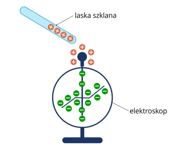 Szklana laska z ładunkami dodatnimi zbliża się do elektroskopu, powodując rozdzielenie ładunków w jego wnętrzu.