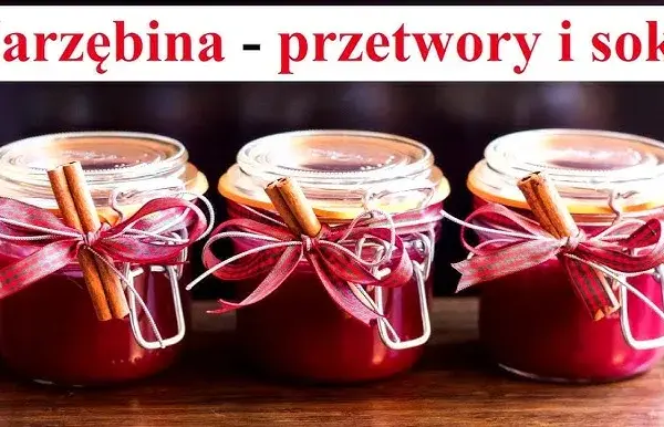 Jak zrobić sok z jarzębiny, aby uniknąć goryczy i cieszyć się smakiem