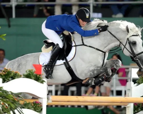 Une cavalière en tenue bleue et blanche saute un obstacle avec son cheval gris. Le cheval, nommé Levisto Z, montre une puissance impressionnante.
