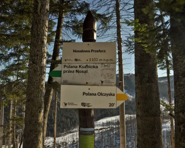 Droga przez Nosal na Nosalową Przełęcz (1103 m n.p.m.) prowadzi do Polany Kuźnickiej. Dalej do Polany Olczyskiej.