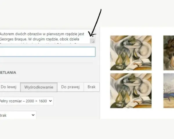 Krótkie opisy do zdjęć: obrazy w stylu kubistycznym, autorstwa Georges'a Braque'a, obok krajobrazu.