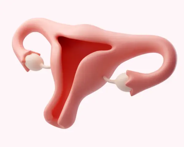 Anatomia kobieca: macica, jajowody i jajniki. Ilustracja może być użyta do omówienia o26 kod choroby.