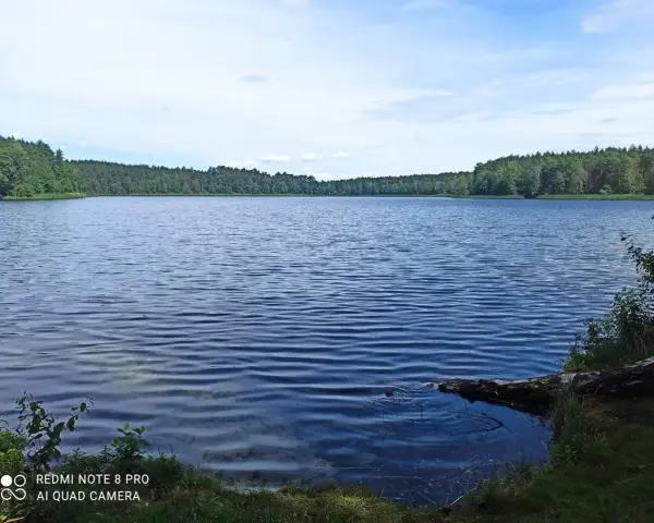 Spokojne jezioro Głęboczek otoczone lasem, z łagodnymi falami na wodzie i błękitnym niebem.