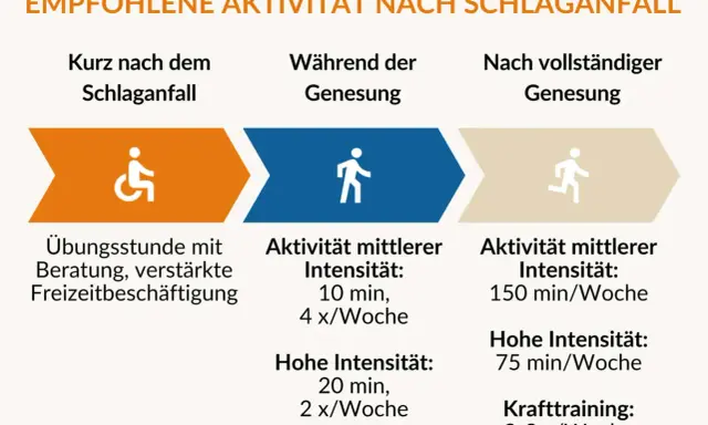 Empfohlene Aktivitäten nach Schlaganfall: Anfangs Übungen, dann schrittweise Steigerung der Intensität für das Schlaganfall Hand Training.